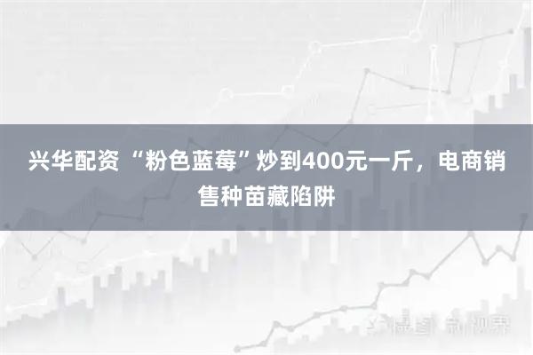 兴华配资 “粉色蓝莓”炒到400元一斤，电商销售种苗藏陷阱